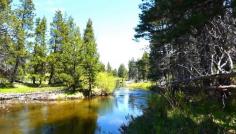 The Truckee River flows through the Lake Tahoe area then to the town of Truckee. A popular place for swimming, fishing and kayaking