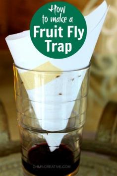 DIY Fruit Fly Trap #DIY #flytrap #bugs