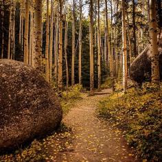 Colorado is the perfect place for autumn adventures. Photo courtesy of thevisualsojourner on Instagram.