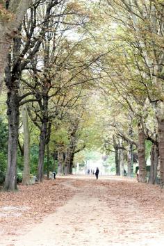 Park just next to the Eiffel Tower in #Paris