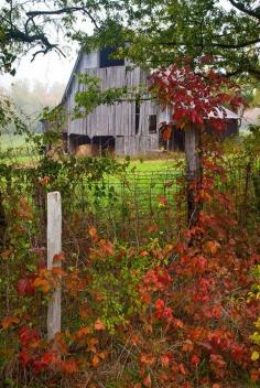 Old Barn