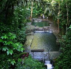 These jungle pools look truly awesome - when can I go please!