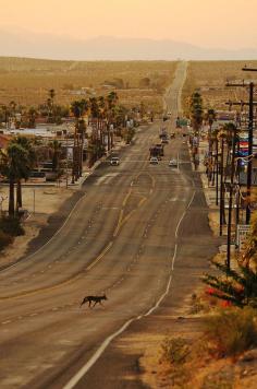 Twentynine Palms, California, United States