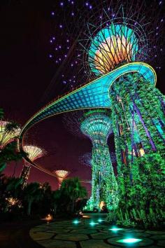 Gardens by the Bay, Singapore