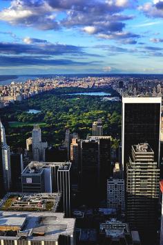 “ Penthouse View of Central Park By: Carlos Rubén Hernández The park takes up 843 acres of land and is bigger than the principality of Monaco.