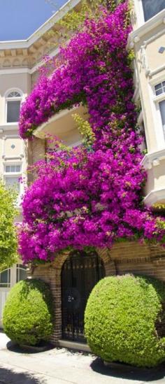 San Francisco beauty • photo: Gerry Greer on Flickr