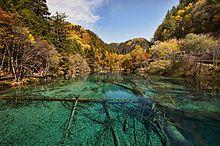 Five Flower Lake, Jiuzhaigou Valley, China