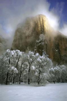 El Capitan, California Paul Cockrell