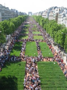 "Nature Capitale" sur les Champs Elysées