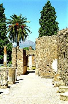 The walls of Pompeii. You can see Mt. Vesuvius in the background. What a place to see - at one time it was all covered with ash from Vesuvius!  Step back in time....