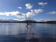 Lake Wanaka , 新西蓝 Came here numerous times First in 2008 December group tour  15 days Christchurch n Queenstown tour Then in 2012 F&E Auckland -Queenstown 28 days In 2014 Free n easy Queenstown about 130 days apr to July