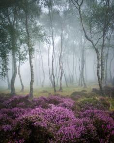 Stanton Moor, Peak District, UK