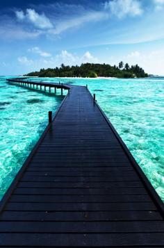 Bora Bora...the walk of a lifetime!