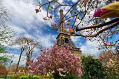 Eiffel Tower in Springtime