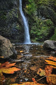 Horse Tail Falls, Columbia River Gorge, Oregon.