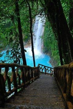 These jungle pools look truly awesome - when can I go please!