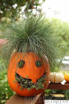 Jack-o-Planterns - Ideas for using Pumkins as planters