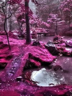 New Wonderful Photos: Moss Bridges, Ireland