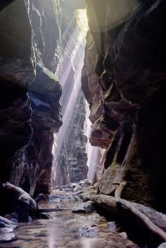 Mount Wilson, New South Wales, Australia