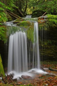 Fern Falls, North Fork of the Coeur d' Alene River.