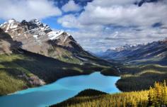 This Is The Absolute Bluest Water In The World. Peyto Lake, Canada