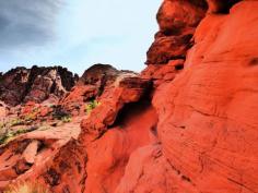 Valley of Fire is about 50 miles NW of Las Vegas, and has extremely spectacular red sandstone rock formations, as well as petroglyphs. We were there in early April, and it lived up to it's name! Hot!