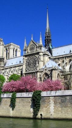 notre-dame de paris, cathedral, paris, france