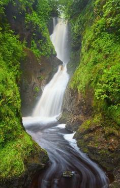 Rainy Glenariff Forest Park, Northern Ireland