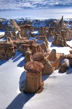 Ash Paw Canyon, New Mexico- Been pondering a NM trip...might have to check this off the list!