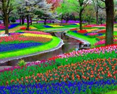 Keukenhof Garden in Netherlands