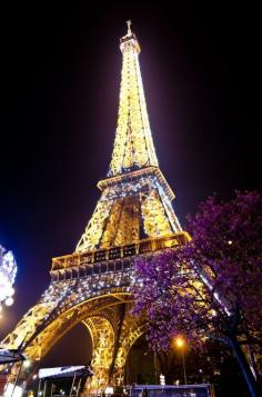 Eiffel Tower at Night