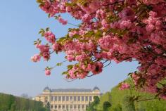 Jardin des Plantes Paris