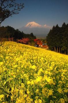 Mount Fuji, Japan