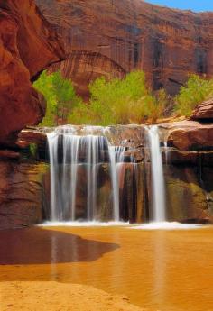 Coyote Gulch #landscape #photography