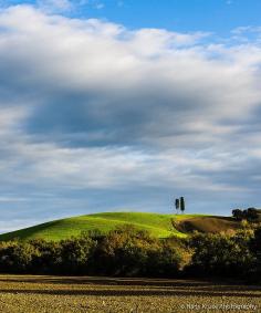 The tree couple, Tuscany