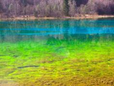 Five Flower Lake, Jiuzhaigou Valley, China