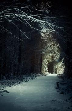 Enchanted Forest, Scotland