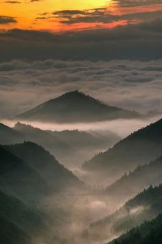 Mountains soaring above the clouds. Wakayama, Japan.  #photography