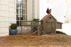 ...for fresh eggs daily! The Chicken Coop. New at Arhaus.