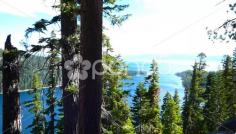 Lake Tahoe Seen Through the Redwoods - Stock Footage | by Iam2012escapee