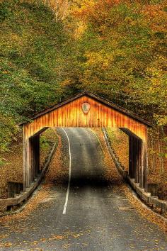 
                        
                            Leelanau, Michigan Carl TerHaar
                        
                    