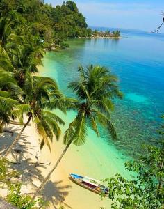 
                        
                            One of the Beautiful Beaches in Maluku Island! >> Sign me up!
                        
                    