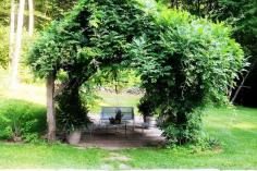 Seating and dining area covered in greenery.