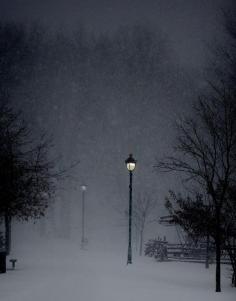 
                        
                            Park in Quebec, Canada, by Kristina Servant
                        
                    