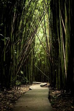 pipiwai trail, Maui, Hawaii