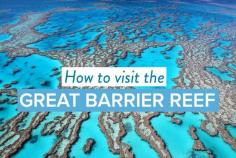 
                        
                            How to visit the Great Barrier Reef - Queensland, Australia
                        
                    