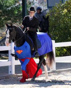 
                        
                            Halloween Superhorse at Kentucky Horse Park in Lexington, Kentucky Photos courtesy of Donna Asbury, D.Asbury Photography.  #kentucky #kentuckyhorsepark
                        
                    