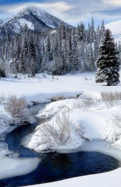 
                        
                            Wasatch Mountains in Winter, Utah
                        
                    