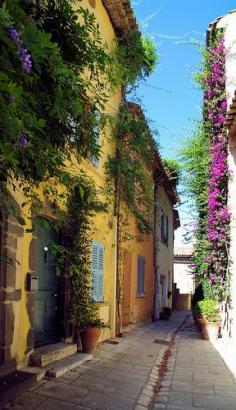 Beautiful Alley, Grimaud, France | Flickr