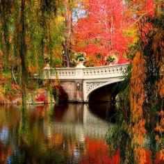 Central park's colorful display makes it easy to see why New York is one of America's best cities for fall travel. Photo courtesy of bumbyfoto on Instagram.